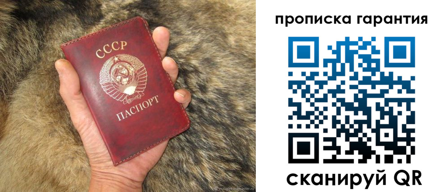 прописка паспорт в Грязовце